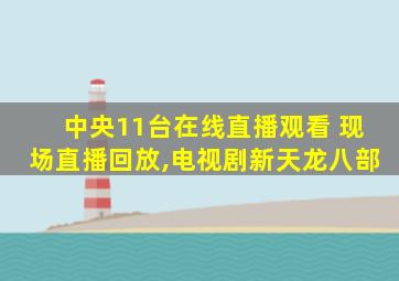中央11台在线直播观看 现场直播回放,电视剧新天龙八部